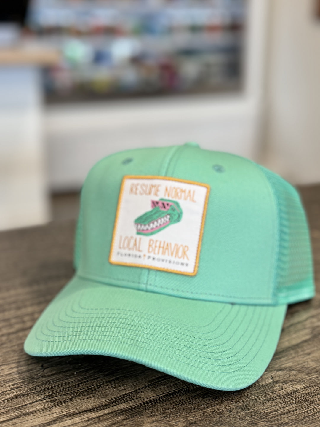 Resume Behavior Patch Trucker - Seafoam