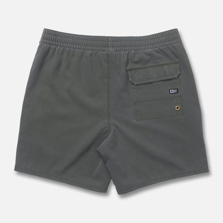 Sea Dog Volley - Four Leaf Clover