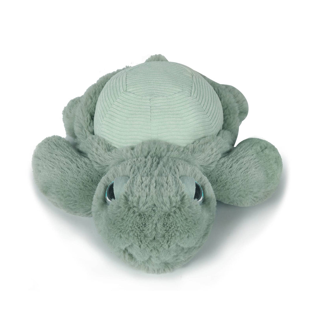 Little Tyler Turtle Soft Toy 7.8"