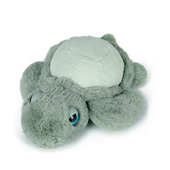 Little Tyler Turtle Soft Toy 7.8"