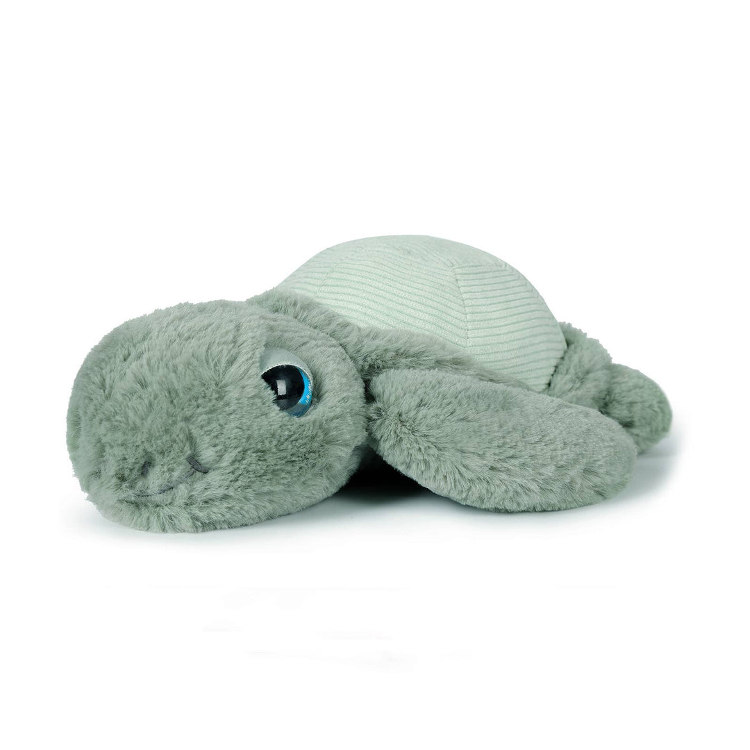 Little Tyler Turtle Soft Toy 7.8"