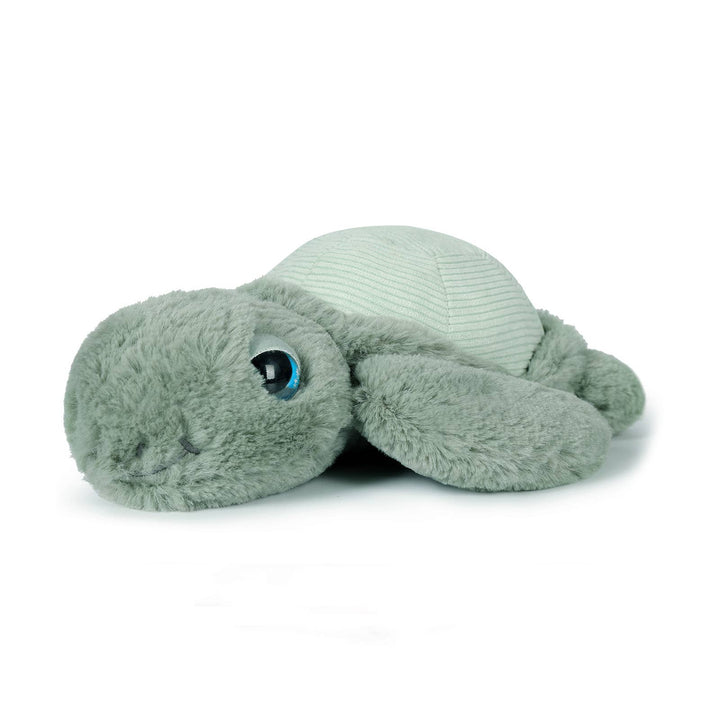 Little Tyler Turtle Soft Toy 7.8"